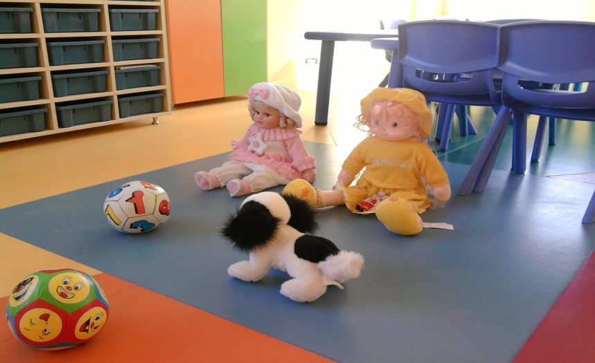 PVC YER DÖŞEME | ZEMİN KAPLAMA | FİYATLARI | MUĞLA