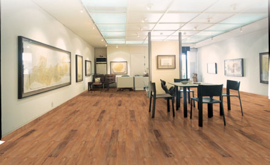 Parke Desenli Marley