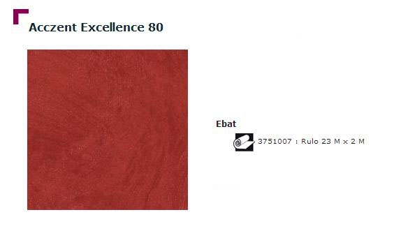 Accezent Exellence 80