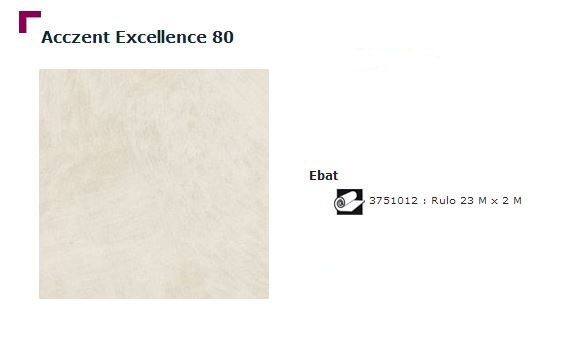 Accezent Exellence 80