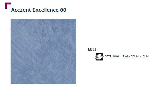 Accezent Exellence 80