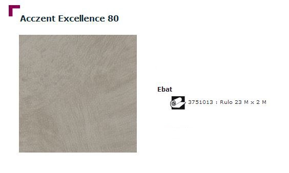 Accezent Exellence 80