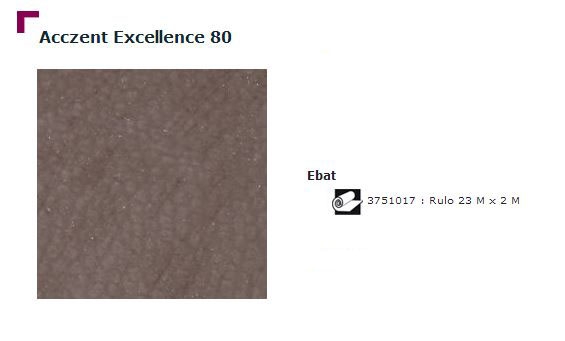 Accezent Exellence 80