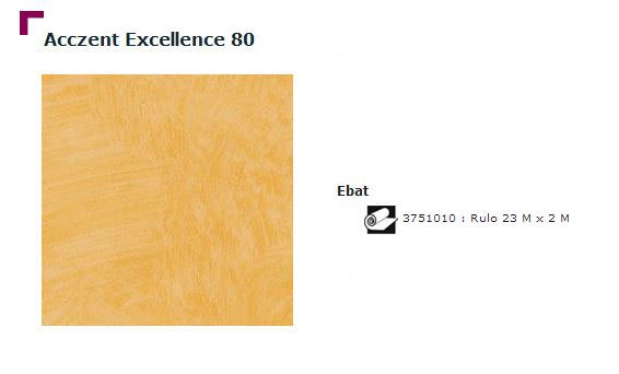 Accezent Exellence 80