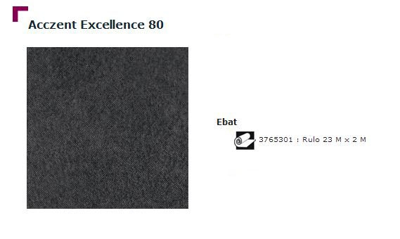 Accezent Exellence 80