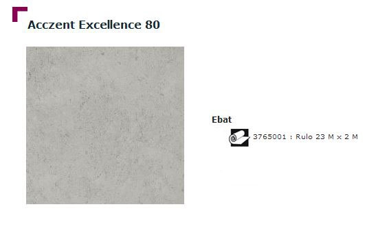 Accezent Exellence 80