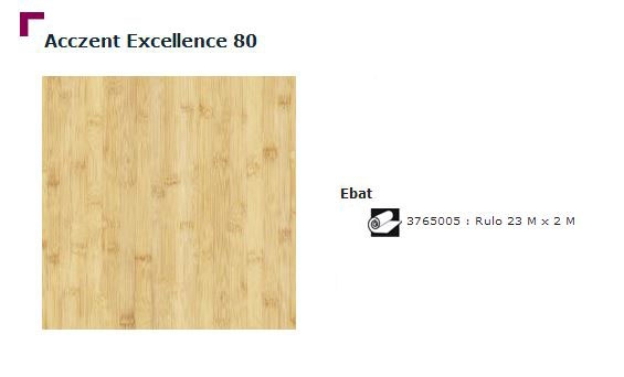 Accezent Exellence 80