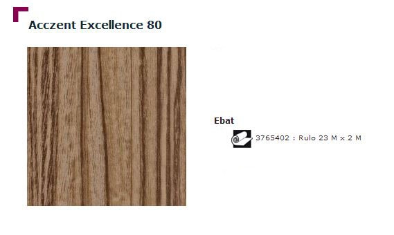 Accezent Exellence 80