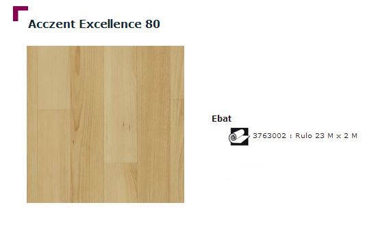 Accezent Exellence 80