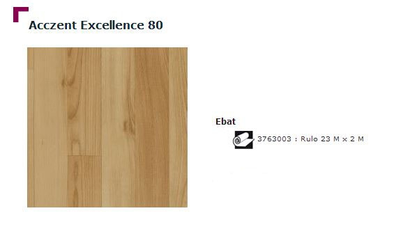 Accezent Exellence 80