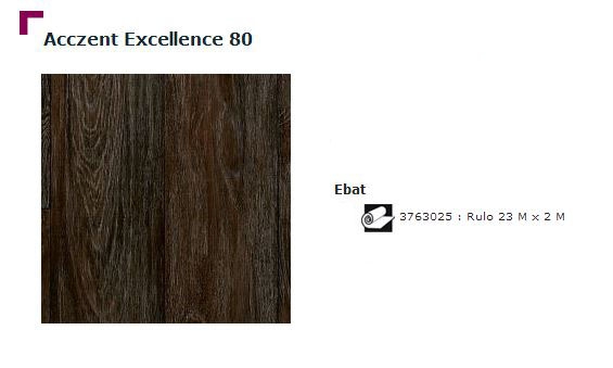 Accezent Exellence 80