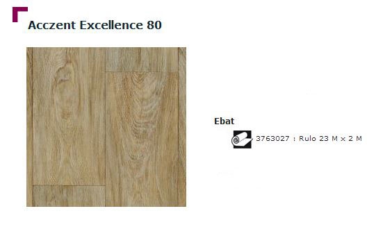 Accezent Exellence 80