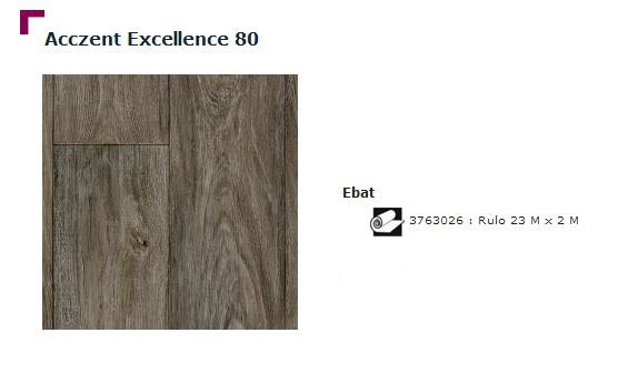 Accezent Exellence 80