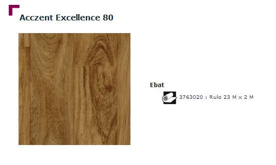 Accezent Exellence 80