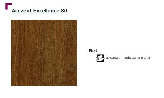 Accezent Exellence 80