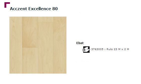 Accezent Exellence 80