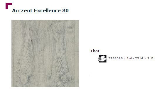 Accezent Exellence 80