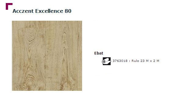 Accezent Exellence 80