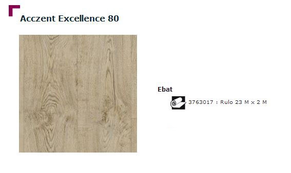 Accezent Exellence 80