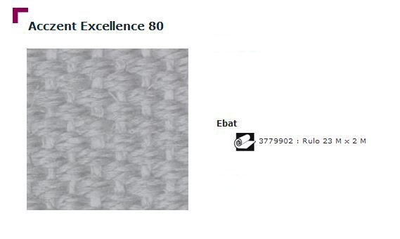 Accezent Exellence 80