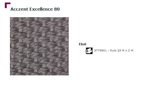 Accezent Exellence 80