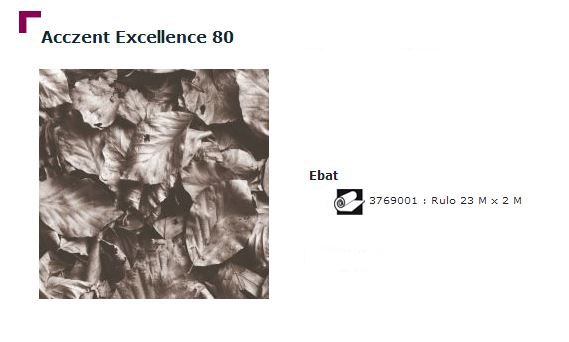 Accezent Exellence 80