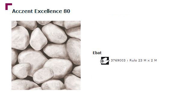 Accezent Exellence 80