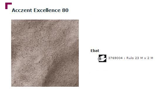 Accezent Exellence 80