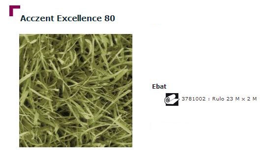 Accezent Exellence 80