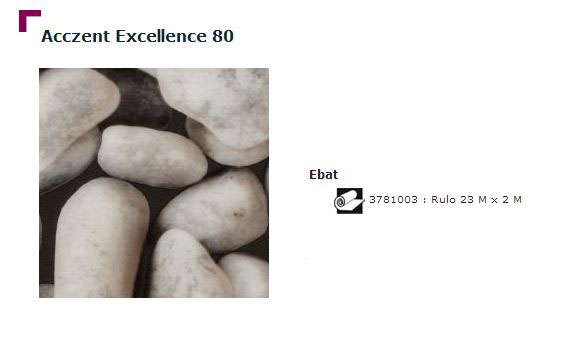 Accezent Exellence 80