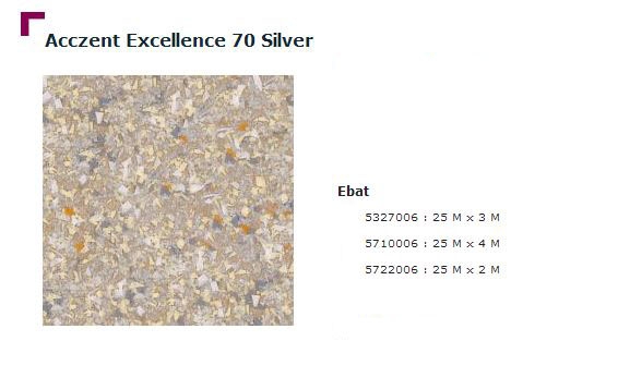 Accezent Exellence 70 Silver