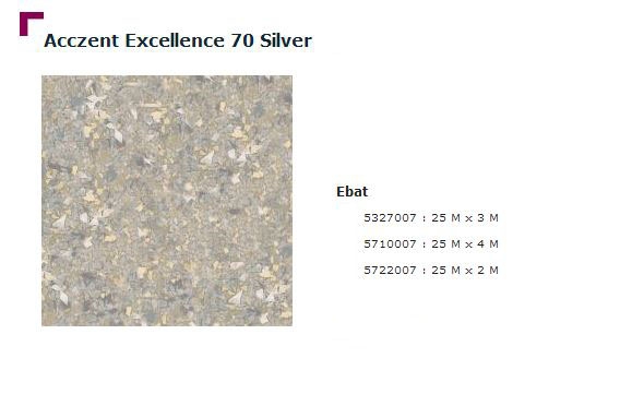 Accezent Exellence 70 Silver