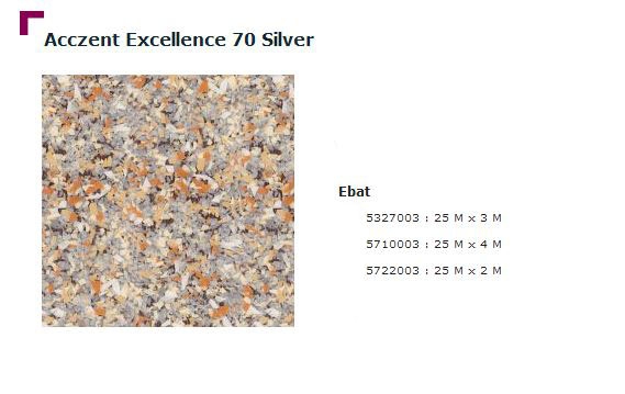 Accezent Exellence 70 Silver