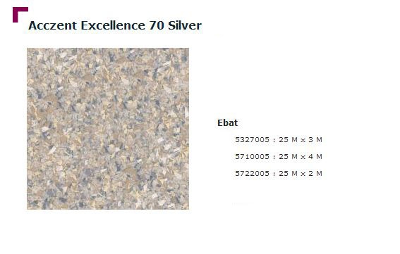 Accezent Exellence 70 Silver