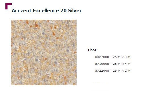 Accezent Exellence 70 Silver