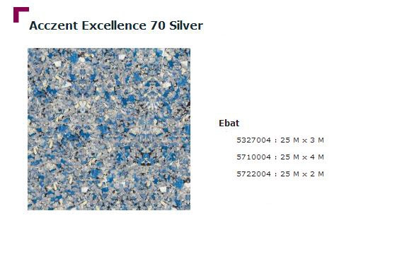 Accezent Exellence 70 Silver