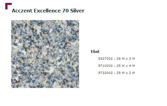 Accezent Exellence 70 Silver