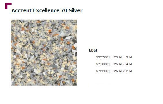 Accezent Exellence 70 Silver