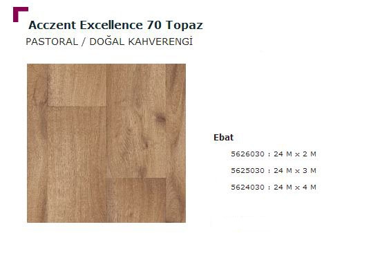 Accezent Exellence 70 Topaz