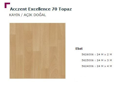 Accezent Exellence 70 Topaz