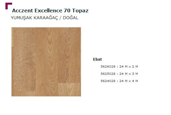 Accezent Exellence 70 Topaz