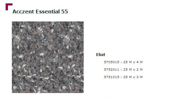 Accezent Essential 55