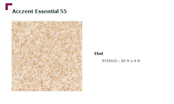 Accezent Essential 55