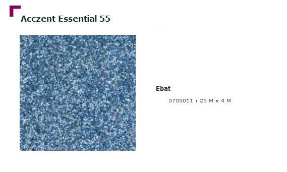 Accezent Essential 55