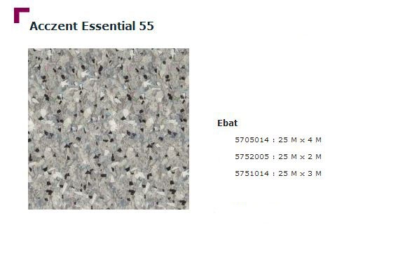 Accezent Essential 55