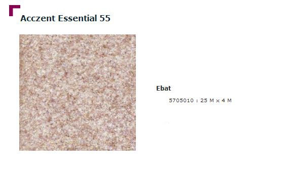 Accezent Essential 55