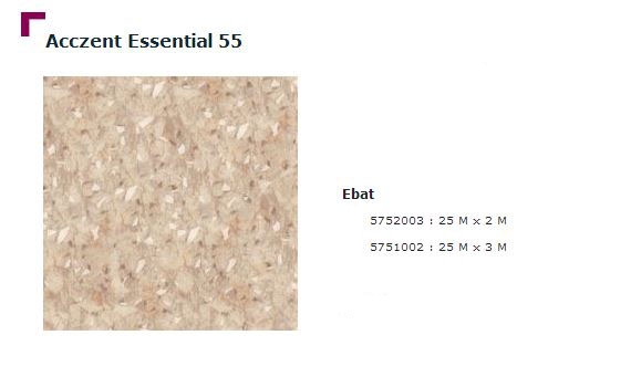 Accezent Essential 55