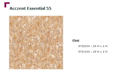 Accezent Essential 55