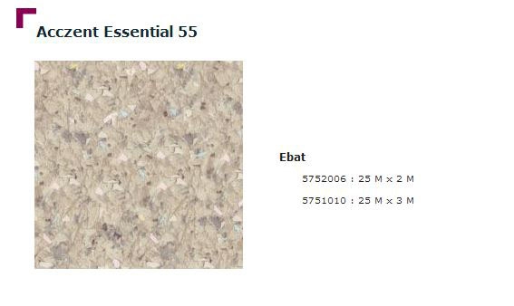 Accezent Essential 55