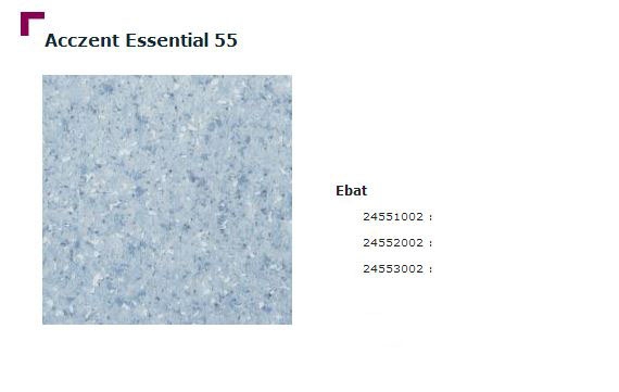 Accezent Essential 55